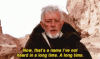IMG_4523.gif