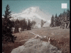 IMG_7155.gif