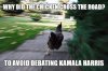 chicken_cross_road.jpg