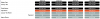 upload_2024-10-22_21-34-25.png