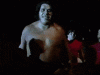 upload_2024-10-23_17-38-20.gif