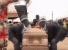 upload_2024-10-28_19-25-34.gif