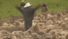 upload_2024-11-4_19-32-20.gif