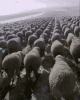 upload_2024-11-6_18-45-30.gif