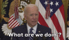 upload_2024-11-8_18-0-39.gif