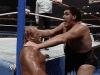 upload_2024-11-8_19-25-39.gif