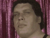 upload_2024-11-11_18-46-42.gif