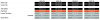 upload_2024-11-19_11-45-6.png