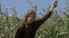 upload_2024-11-20_16-59-40.gif
