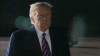 trump-wow-2.gif