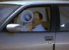 f6ab031c.gif