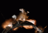 upload_2024-11-23_18-47-47.gif