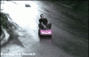 200w-1.gif