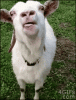 upload_2025-1-22_17-53-12.gif