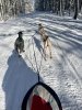 IMG_6292.jpeg