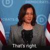 giphy-4.gif