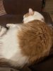 upload_2025-1-30_19-23-30.jpeg