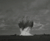 upload_2025-2-2_1-59-57.gif