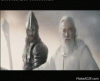 IMG_7923.gif