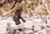 upload_2025-2-6_17-29-19.gif