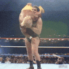 upload_2025-2-22_15-6-45.gif