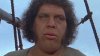 upload_2025-2-22_20-49-39.jpeg