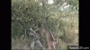 upload_2025-2-24_12-49-56.gif