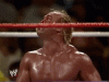 upload_2025-2-25_18-55-34.gif