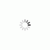 upload_2025-3-3_19-16-0.gif