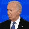 upload_2025-3-4_17-28-47.gif