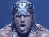 upload_2025-3-14_20-17-8.gif