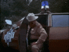 upload_2025-3-17_18-29-12.gif