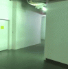 giphy (2).gif