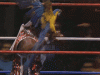 upload_2025-3-21_18-49-8.gif