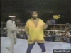 upload_2025-3-31_7-26-18.gif