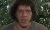 upload_2025-4-11_21-33-57.jpeg