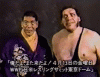 upload_2025-4-26_8-51-38.gif