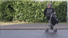 coldmirror-youtube (1).gif