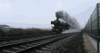 20250619_164357.gif