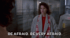 giphy-1969075124.gif