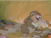 tenor.gif