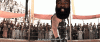 7B41CE72-3AA4-4FD5-8B8F-AACA653FD246.gif