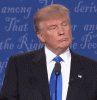 giphy (5).gif
