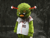 20260327_084921.gif