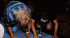 source (3).gif