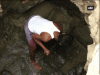 L79V.gif
