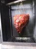 head in the smoker.jpg