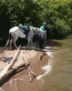 e1020d7414d771c32a2c9271622aebb2.gif