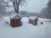 IMG_1844.jpeg