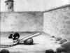 upload_2020-12-23_13-36-32.gif